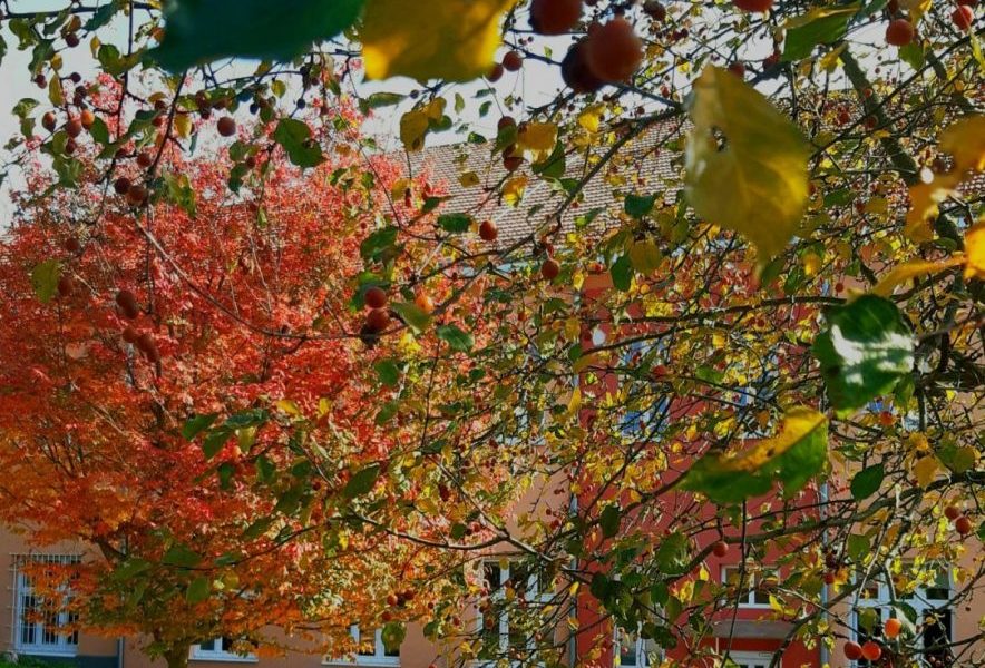 20221010_120618 20221010_120618